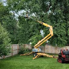 Coldstream, OH Tree Removal and Landscaping Services Company